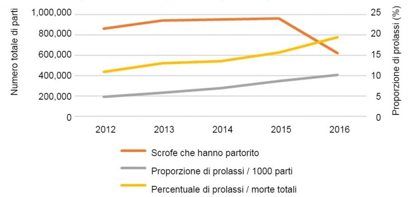 Fig.1. Numero totale di parti nell&#39;analisi ed evoluzione nel tempo della % di prolassi delle scrofe su 1000 scrofe che hanno partorito o sul N&deg; totale di morti di scrofe negli allevamenti.
