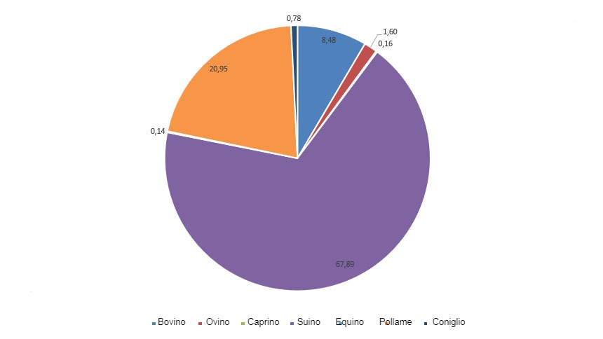 Rilevanza delle diverse categorie all\interno della produzione totale di carne