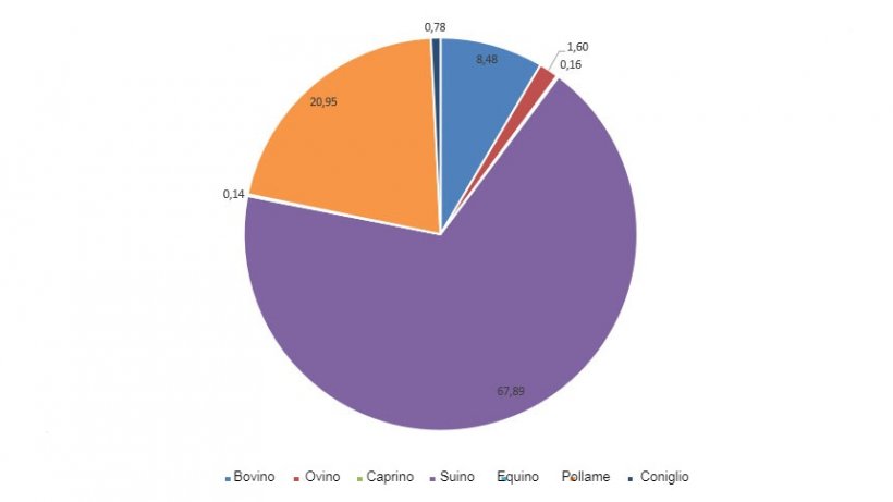 Rilevanza delle diverse categorie all&#39;interno della produzione totale di carne
