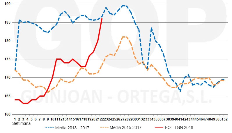 Grafico 3. Stagionalità dei prezzi del mais FOT, €/t (origine stoccaggio al porto di Tarragona). Fonte: Lonja de cereales Barcelona