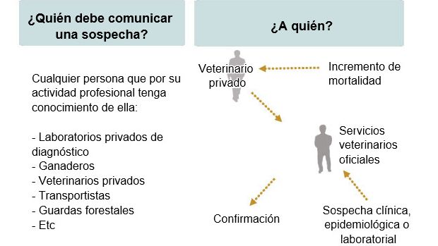 Malattie a Denuncia Obbligatoria
