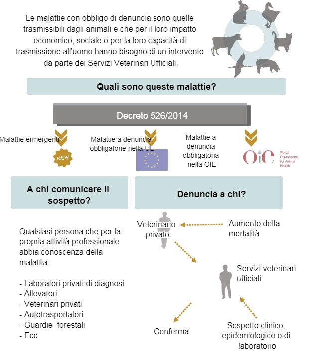 Malattie a Denuncia Obbligatoria
