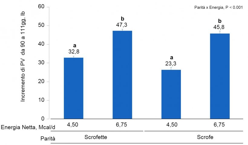 Figura 1B. &nbsp;Effetti dell&#39;alimentazione con diversi livelli di energia dal giorno 90 al 111&deg; della gestazione sul guadagno di PV di scrofette e scrofe Le medie con un super-indice differente all&#39;interno del livello di parit&agrave; (N&deg; di parti) sono differenti&nbsp;(P &lt;0,05).
