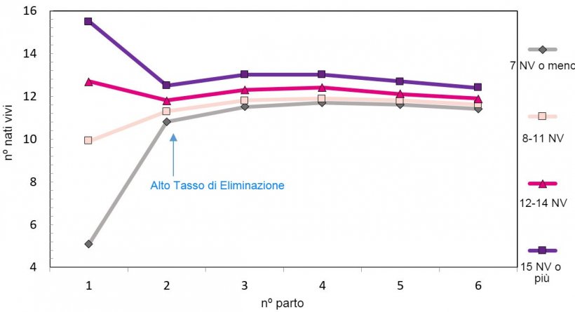 Grafico 1. Produzione lungo la vita della scrofa in funzione dei suinetti nati
