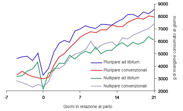 Grafico&nbsp;6. Consumo di mangime in lattazione di scrofe alimentate ad libitum e/ o con un programma convenzionale nel periparto
