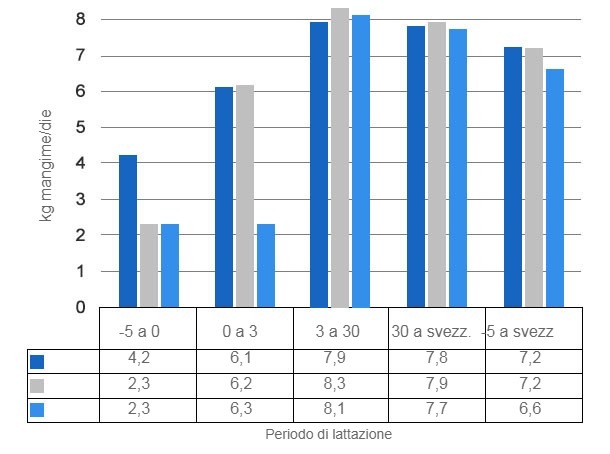 Grafico 3. Consumo giornaliero di mangime quando le scrofe vengono alimentate a volontà a partire da 5 gg prima del parto (P -5d), del giorno del parto (P) o 3gg dopo (P + 3d).