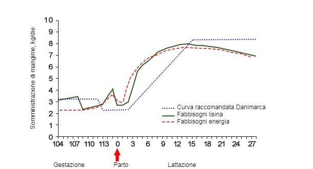 Grafico&nbsp;2. Quantit&agrave; di mangime richiesta per un apporto di energia e lisina ideale in comparazione alla curva alimentare raccomandata in Danimarca durante l&#39;ultima fase di gestazione e lattazione&nbsp;(Theil, 2017).
