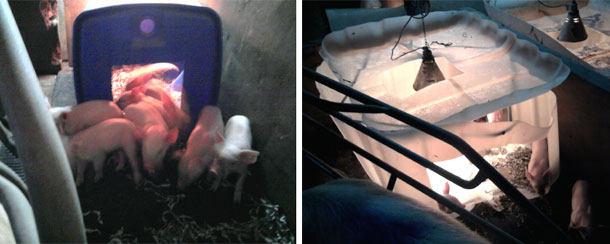 Bidone di plastica a sezione quadrata(sx) e contenitore liquidi (dx) tagliato