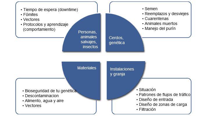 Elenco comune di fattori che vengono esaminati quando viene creato o verificato un programma di biosicurezza
