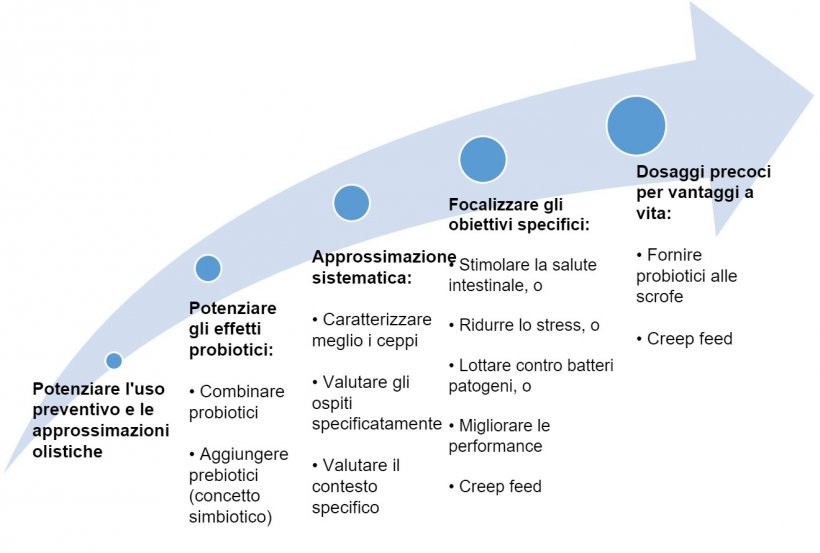 Figura 2. Strategie per migliorare l&#39;uso dei probiotici in fasi precoci
