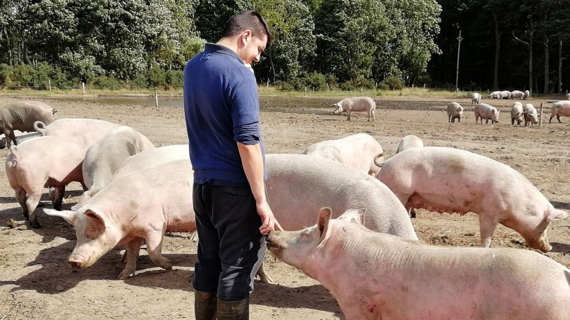 La relazione che si sviluppa tra animale e persona &egrave; completamente diversa.
