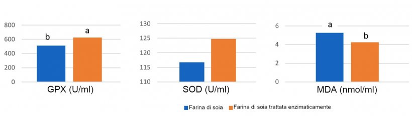 Grafico 1: L&#39;alimentazione con soia trattata enzimaticamente con un basso contenuto di antigene di soia ha portato a concentrazioni plasmatiche pi&ugrave; elevate di enzimi antiossidanti e una riduzione della malonil dialdeide (MDA), un marker di danno ossidativo, il giorno 14 dopo lo svezzamento, rispetto ad una farina di soia con un alto livello di antigene. (Ma et al., 2018)
