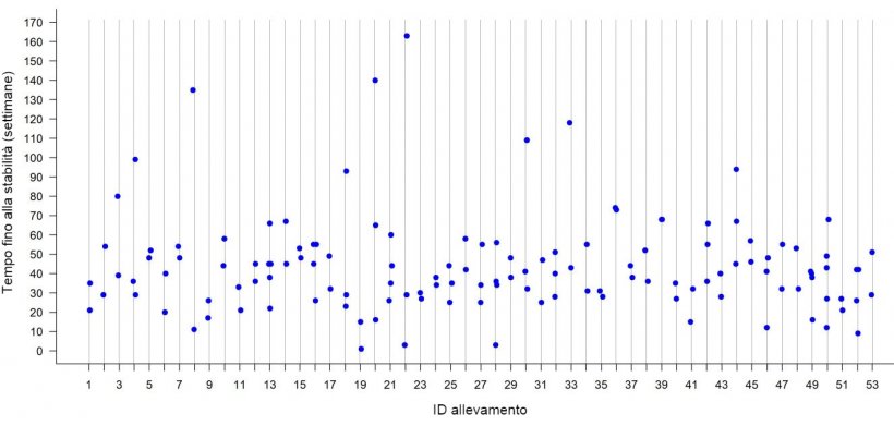 Figura 2: Tempo di stabilit&agrave; contro la PRRS in ogni allevamento&nbsp;in 53 scrofaie&nbsp;nel Midwest degli Stati Uniti. Ogni punto rappresenta il TTS osservato per ogni focolaio in un&nbsp;determinato allevamento.
