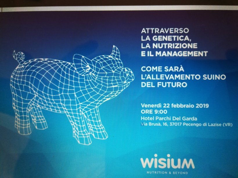 wisium p