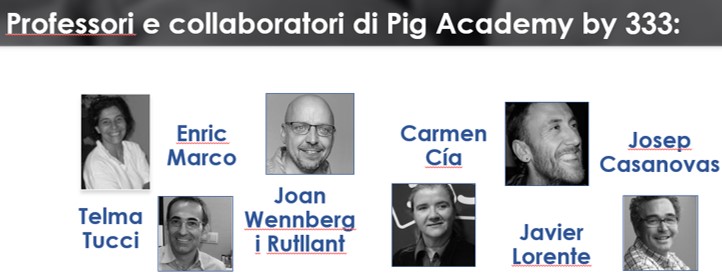 pig academy