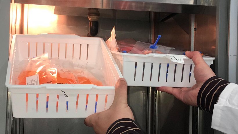 Il registro delle temperature del frigo&nbsp;&egrave; importante, va controllato prima di inseminare.
