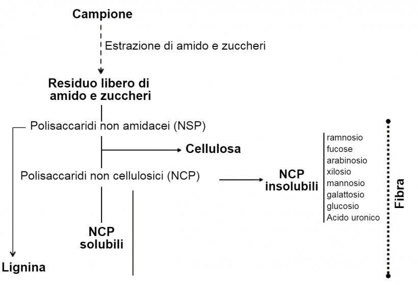 Figura 1. Determinazione di polisaccaridi non amilacei, lignina e fibra mediante un procedimento enzimatico-chimico. Knudsen (2014)
