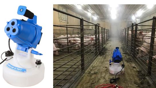 Figure 2. Aerosol exposure of replacement gilts for Mycoplasma hyopneumoniae.
