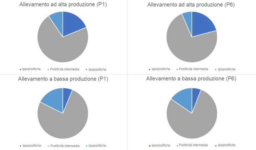 Grafico 1. Distribuzione del tipo di scrofe, in parto 1 e 6, categorizzate per i tipi di allevamenti rilevati
