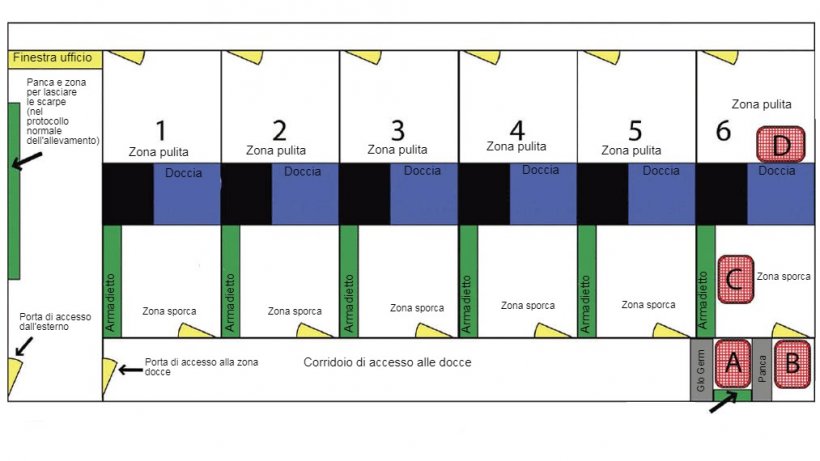 Schema della zona doccia e dei suoi accessi. La Doccia 6 &egrave; stata utilizzata per eseguire lo studio. Sono indicati l&#39;ubicazione della panca per i giorni di trattamento ed il posizionamento della polvere fluorescente (Glo Germ). La posizione di ciascun punto di campionamento &egrave; designata con le lettere A, B, C e D.
