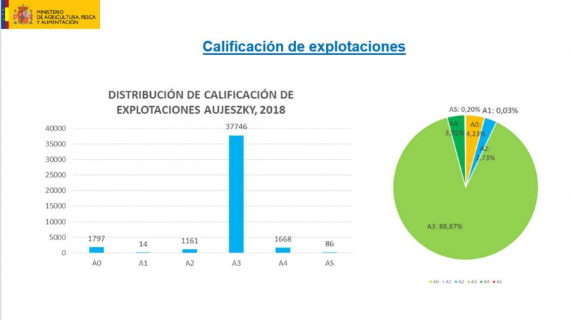 Distribuzione degli allevamenti&nbsp;in base alla qualifica per la malattia di Aujeszky (A0: la situazione relativa alla vaccinazione o ai controlli sierologici negli ultimi dodici mesi &egrave; sconosciuta o il programma di vaccinazione o i controlli sierologici non sono soddisfatti ; A1: il programma di vaccinazione e i controlli sierologici sono soddisfatti, con una diagnosi positiva contro la glicoproteina gE del virus EA nell&#39;ultimo controllo ufficiale effettuato; A2: il programma di vaccinazione e i controlli sierologici sono soddisfatti, con risultato negativo contro la glicoproteina gE del virus dell&#39;EA nell&#39;ultimo controllo ufficiale effettuato, senza aver ancora iniziato le azioni precise per la sua qualificazione, o dopo averle avviate non le hanno completate; A3 o A4: gli allevamenti&nbsp;con qualificazione sanitaria di indenne&nbsp;o ufficialmente indenne, rispettivamente.)
