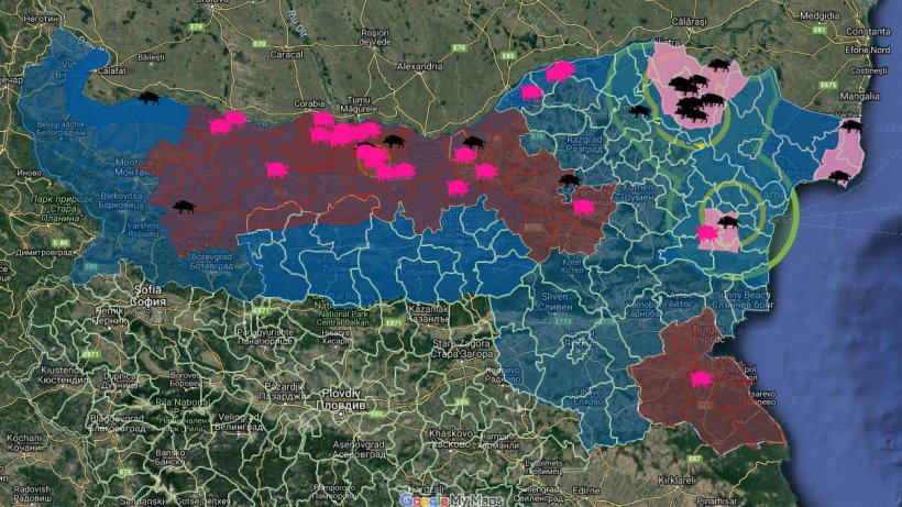 Totale dei focolai di PSA in Bulgaria
