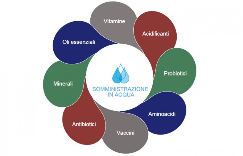 Figura1: Possibili opzioni nell&#39;acqua di bevanda
