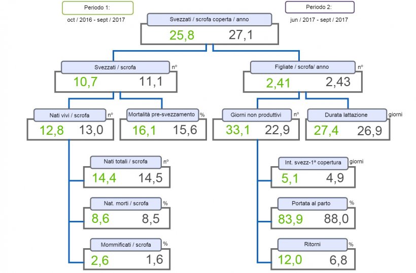 Figura 1. Albero della produttivit&agrave; dei suinetti svezzati/scrofa coperta/anno, comparativo dei due periodi.
