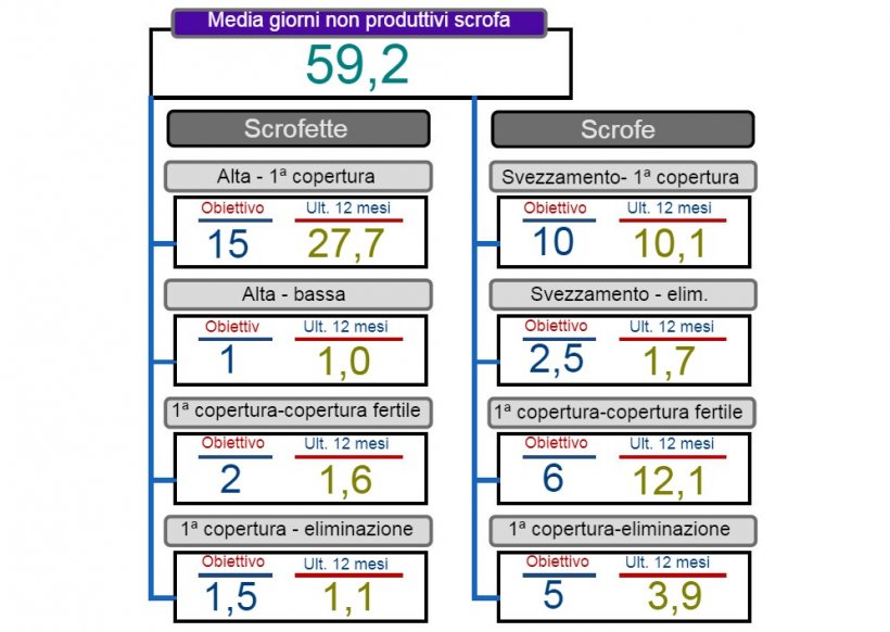 Figura 2. Analisi dei dati non produttivi.
