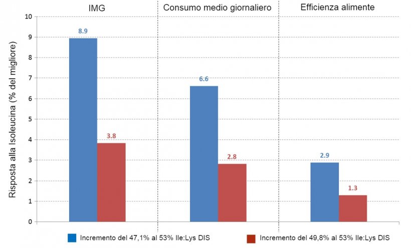 Figura 2: Risposta dei suinetti a diversi incrementi del rapporto&nbsp;Ile/Lys DIS. Fonte: Ajinomoto Animal Nutrition Europe
