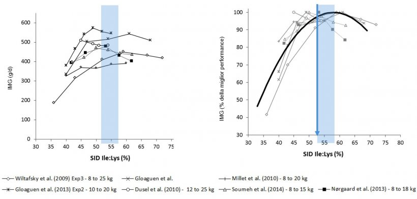 Figura 1: Risultati dell&#39;accrescimento nei suinetti ottenuti in diversi studi a seconda di diversi rapporti&nbsp;Ile:Lys DIS . L&#39;accrescimento viene espresso in valore assoluto o come percentuale della miglior crescita. Fonte: Ajinomoto Animal Nutrition Europe
