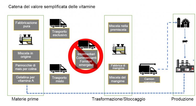 Figura 1. Descrizione generale della catena del valore delle vitamine per l&#39;alimentazione degli animali.
