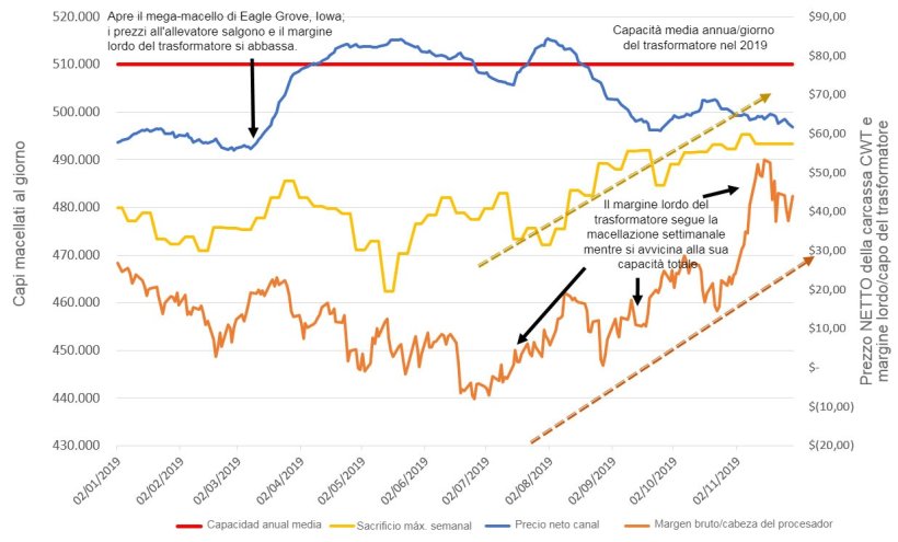 Margine lordo dei trasformatori di suini nel 2019