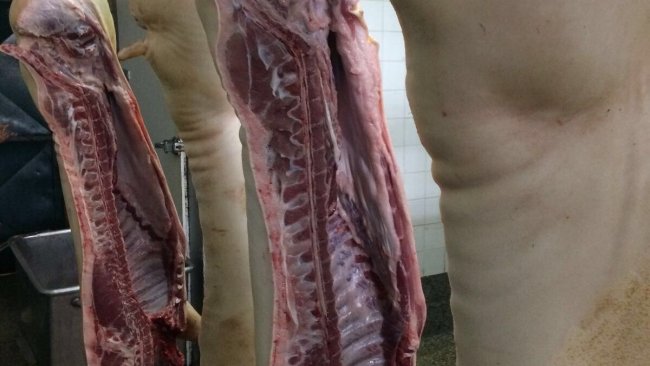 México carne cerdo