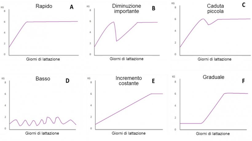 Figura 1. Modelli di alimentazione delle scrofe in lattazione&nbsp;descritte da Koketsu et al (1996a). A) Rapido aumento dei consumi; B) diminuzione significativa; C) piccola caduta; D) basso consumo durante l&#39;allattamento; E) basso consumo la prima settimana di allattamento e costante aumento nel resto della lattazione; e F) aumento graduale dei consumi.
