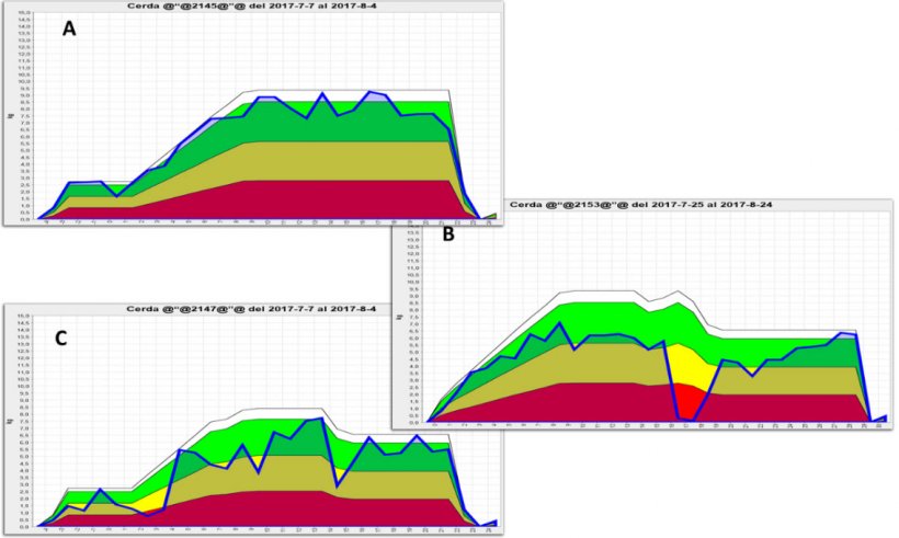 Figura 2. Rappresentazione grafica del consumo di scrofe in allattamento ottenute mediante l&#39;uso di alimentatori elettronici. A) Modello di consumo normale, B) riduzione significativa; e C) piccolo calo del consumo durante l&#39;allattamento. L&#39;area verde mostra l&#39;assunzione ideale per quella particolare scrofa, l&#39;area gialla avvisa che l&#39;assunzione viene ridotta e l&#39;area rossa rappresenta una forte deviazione dal normale modello di consumo e un alto rischio di successivo deterioramento riproduttivo . Fonte: GESTAL SOLO, JYGA Technologies.
