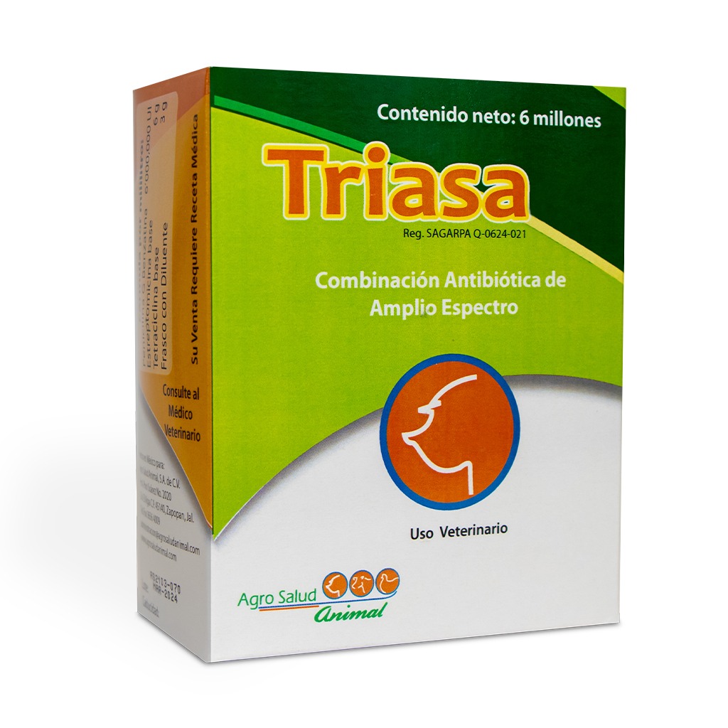 Triasa