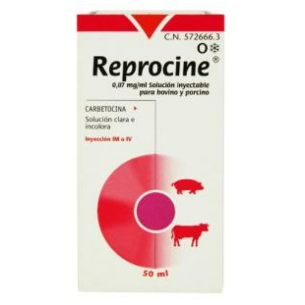 Reprocine